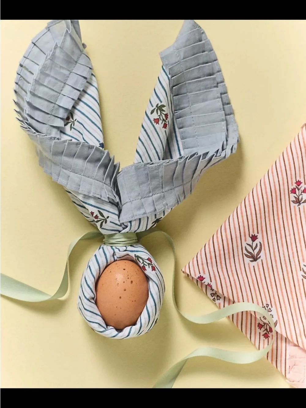 Anthropologie Brigette Napkins. Set of 2